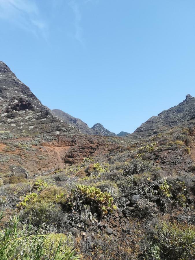 Tenerife Санта Крус де Тенерифе Екстериор снимка